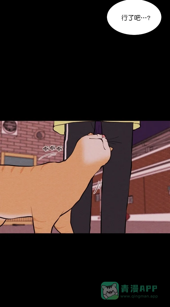 《代价贩卖机》[第74话] 流浪猫（4） 第50页