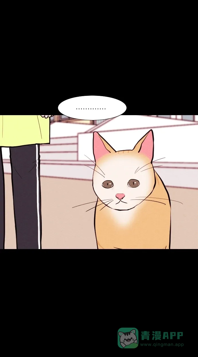 《代价贩卖机》[第74话] 流浪猫（4） 第7页