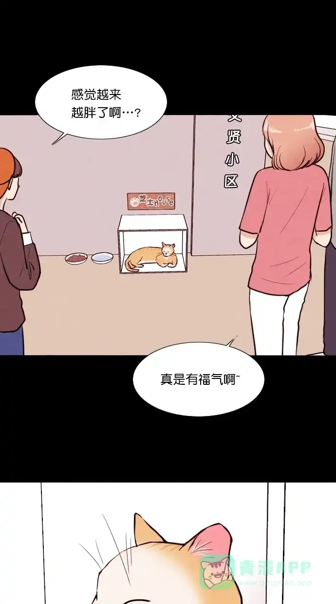 《代价贩卖机》[第75话] 流浪猫（5） 第16页