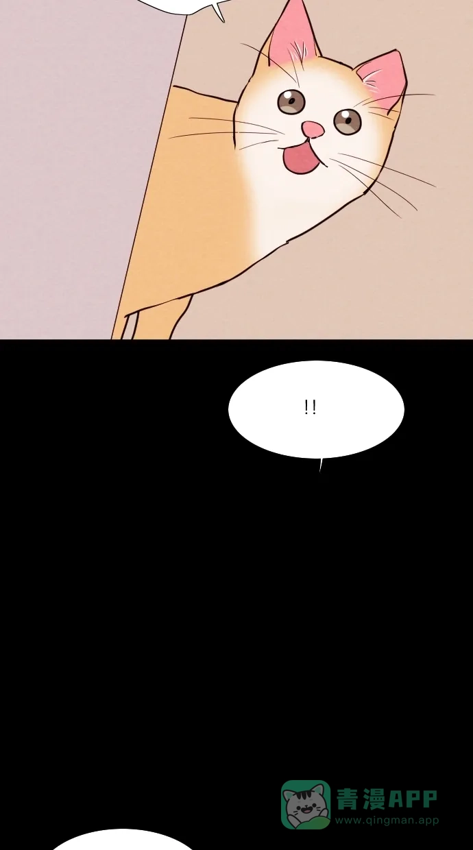 《代价贩卖机》[第75话] 流浪猫（5） 第49页