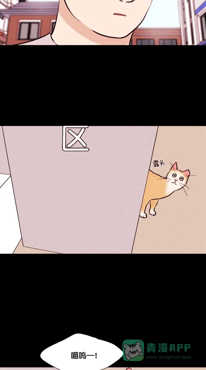 《代价贩卖机》[第75话] 流浪猫（5） 第48页
