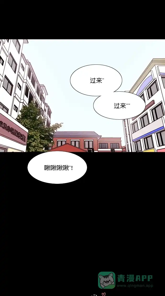 《代价贩卖机》[第75话] 流浪猫（5） 第51页