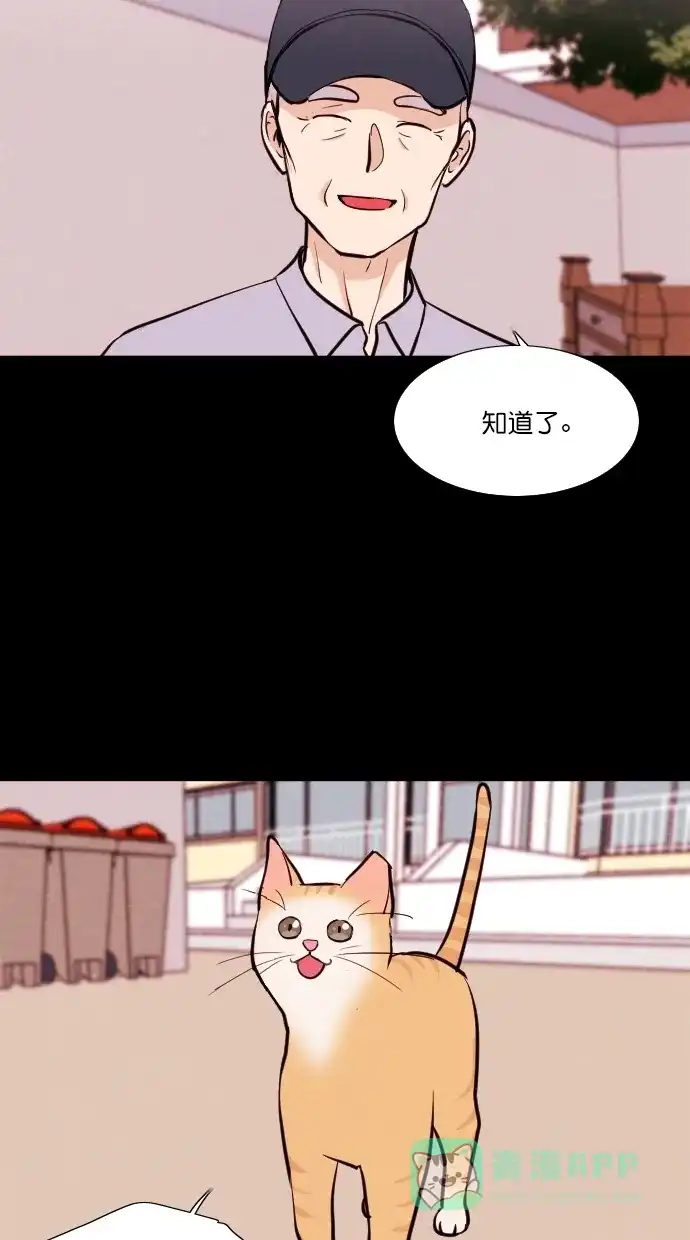 《代价贩卖机》[第75话] 流浪猫（5） 第36页