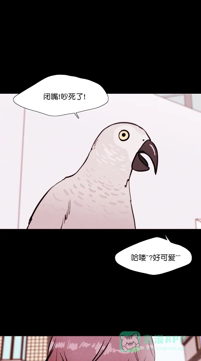 《代价贩卖机》[第81话] 鹦鹉人（1） 第2页