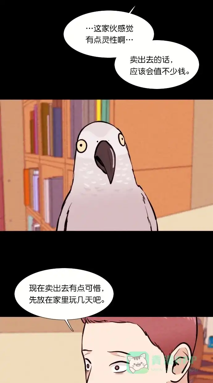 《代价贩卖机》[第81话] 鹦鹉人（1） 第20页