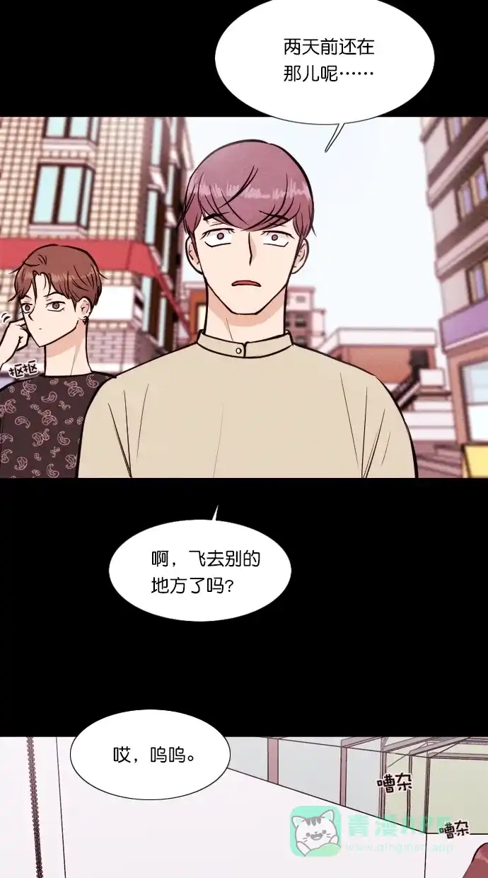 《代价贩卖机》[第81话] 鹦鹉人（1） 第10页