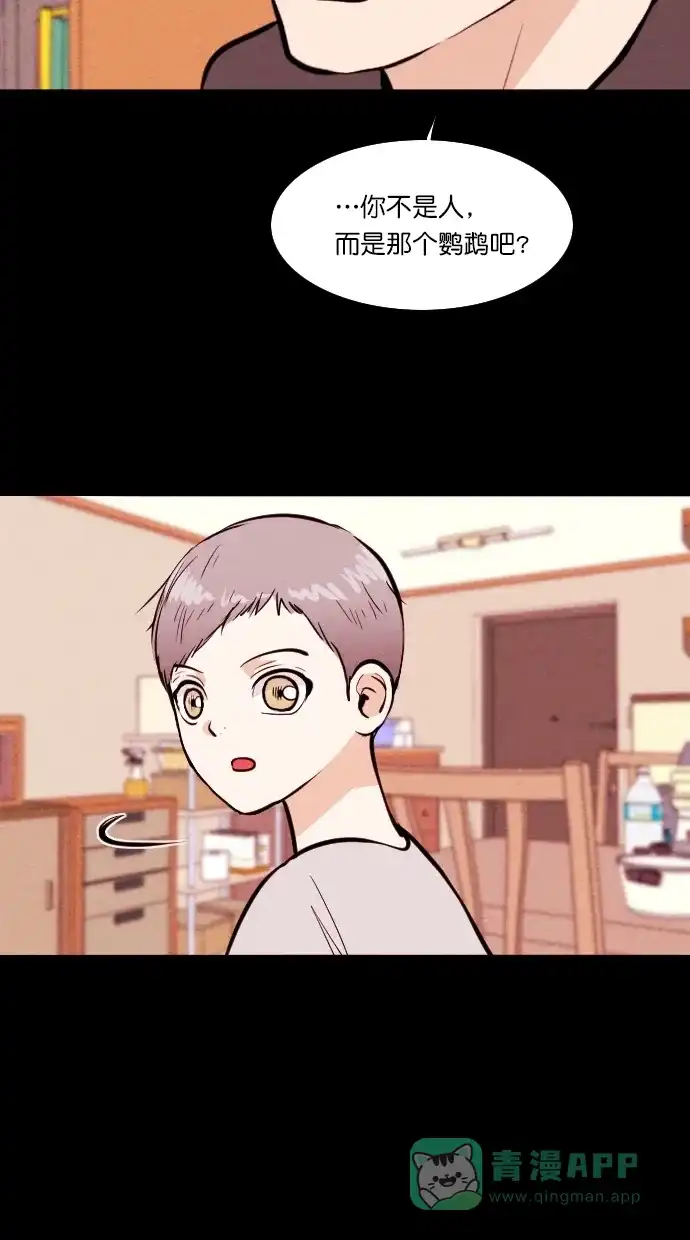 《代价贩卖机》[第83话] 鹦鹉人（3） 第5页