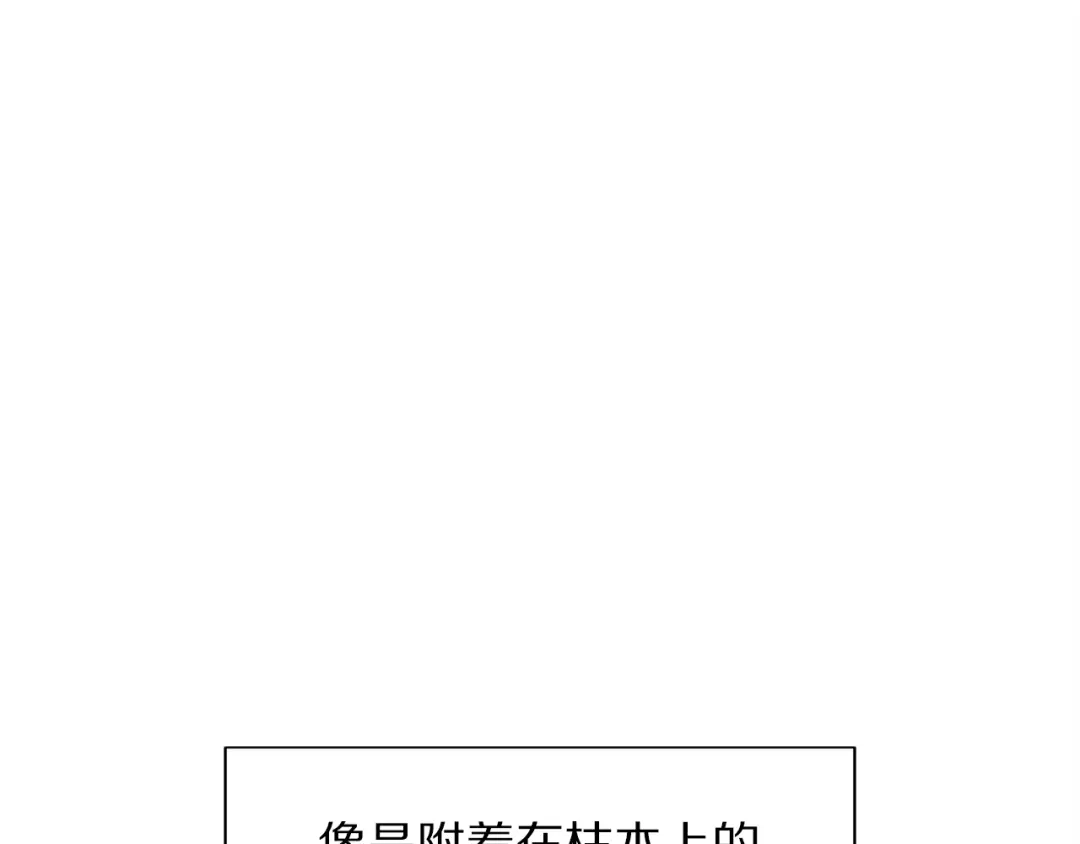 带着萌娃嫁公爵？ 第9话 这女人真特别 第104页