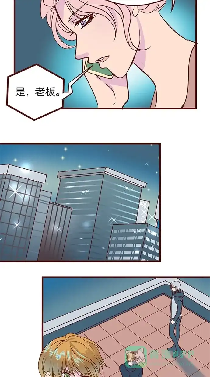 《蛋男情缘》第114话 第7页