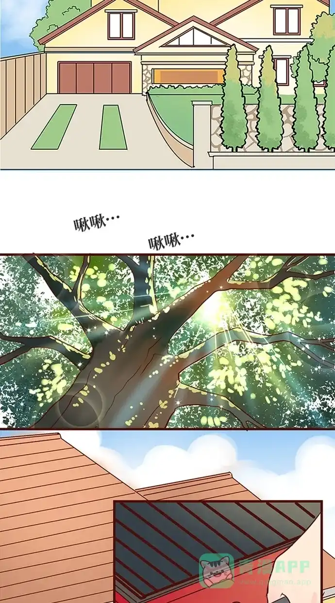 《蛋男情缘》第126话 第3页