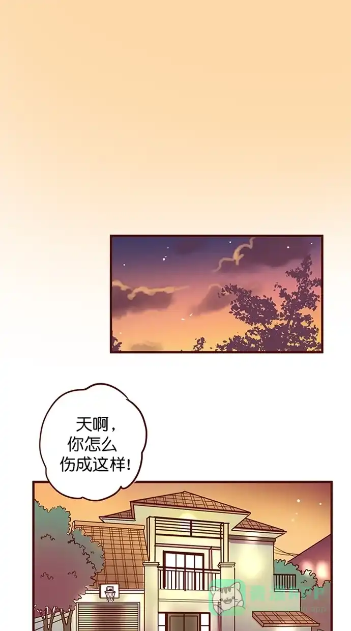 《蛋男情缘》第146话 第2页
