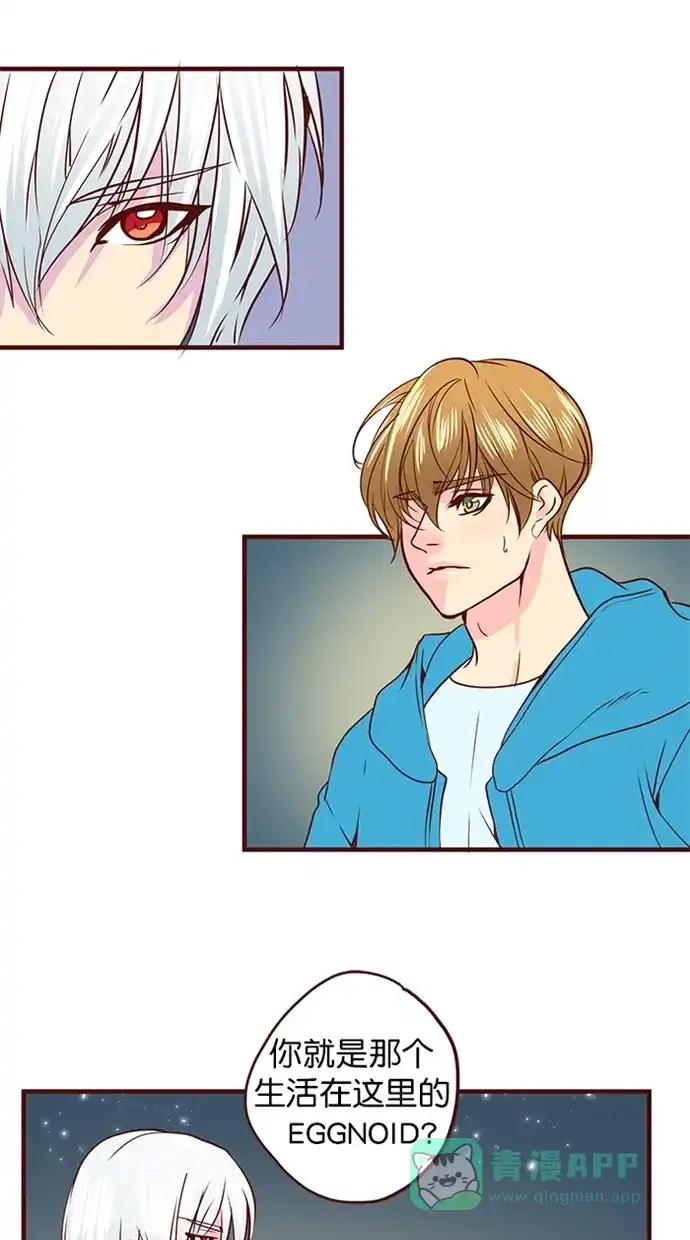 《蛋男情缘》第161话 第5页