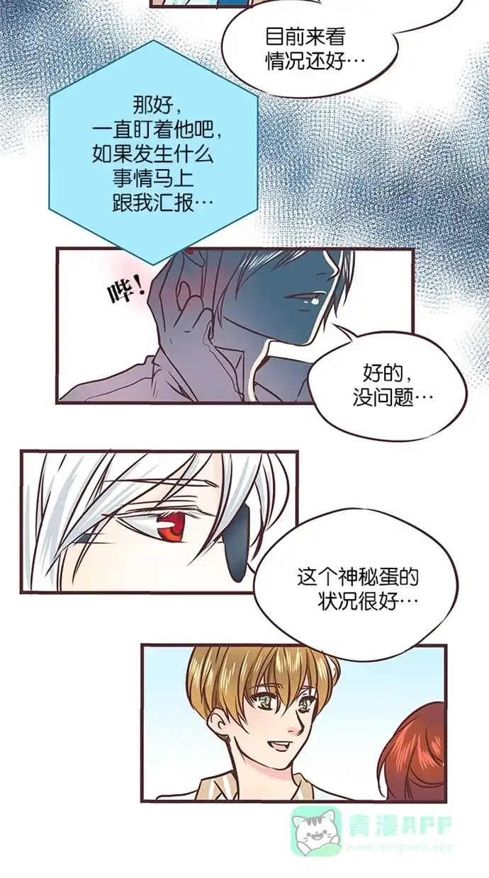 《蛋男情缘》第38话 第4页