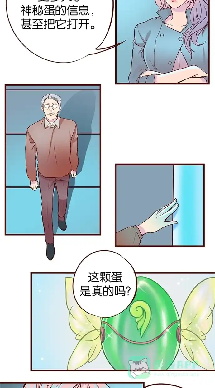 《蛋男情缘》第56话 第25页