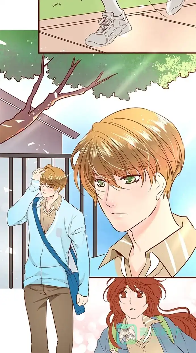 《蛋男情缘》第95话 第17页