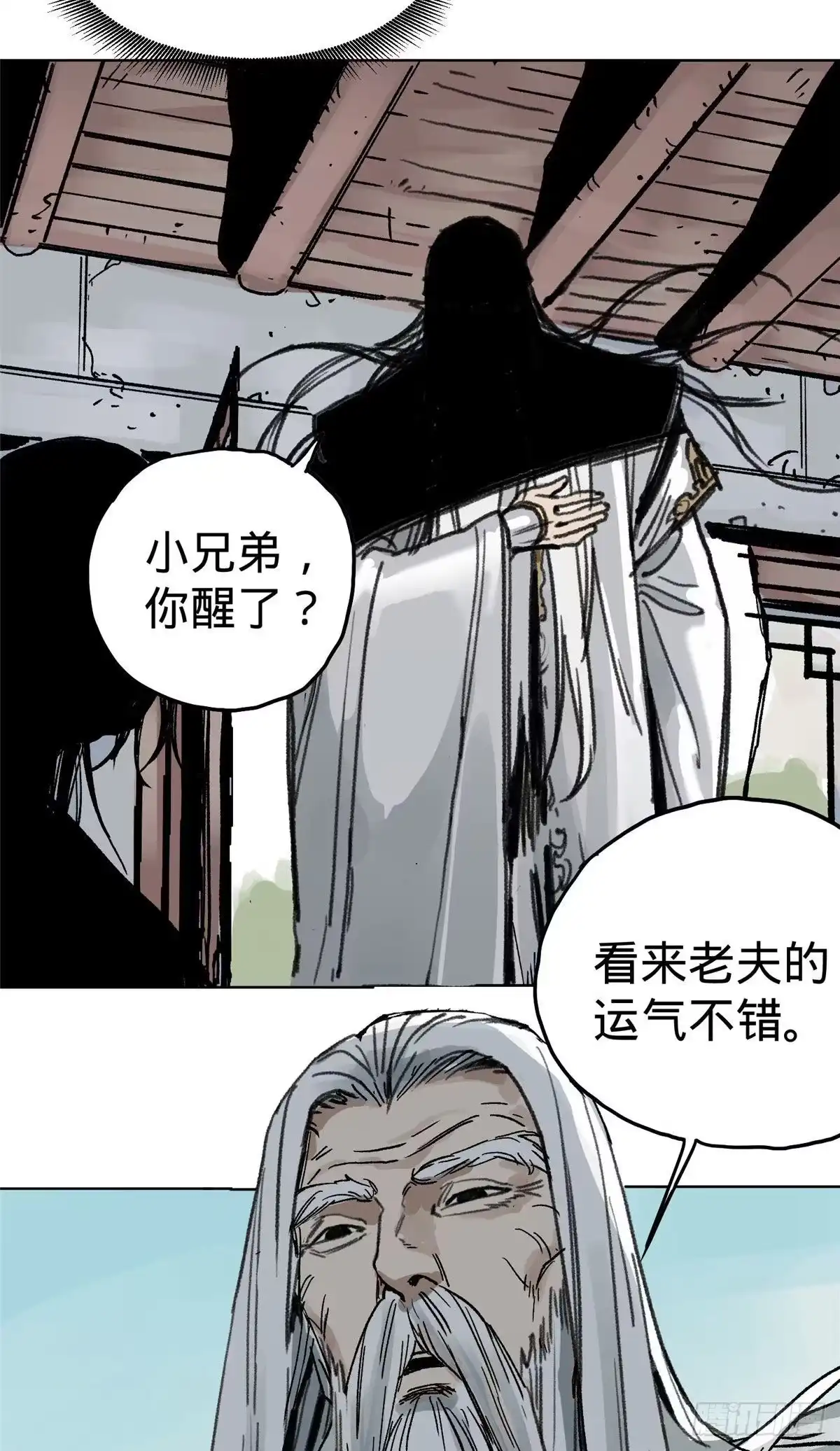 《道君》01 死亡与重生 第29页