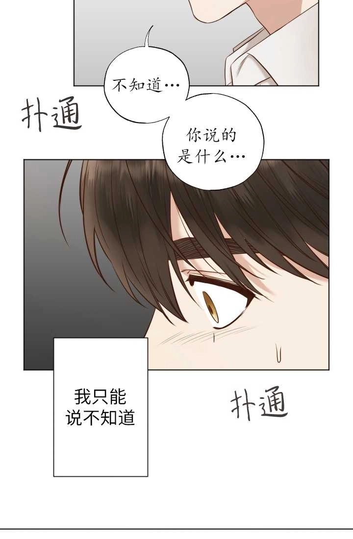 《大卫的肖像》第33话 第18页