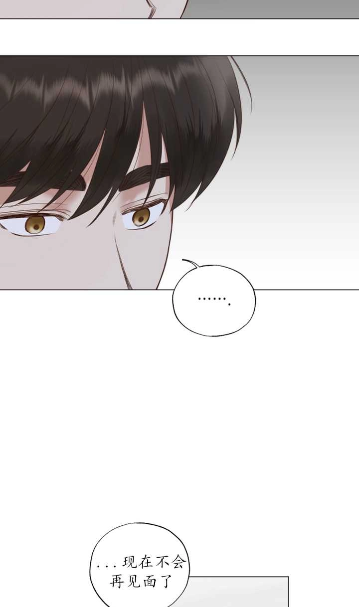 《大卫的肖像》第36话 第37页
