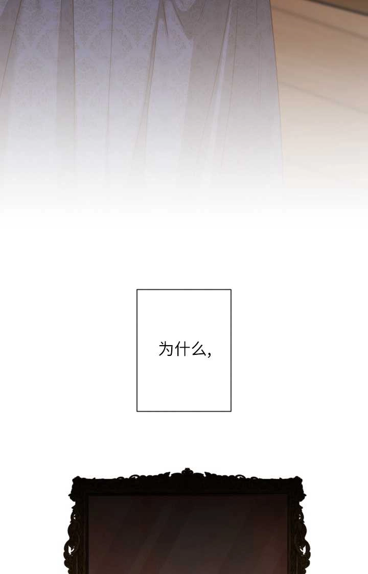 《大卫的肖像》第37话 第41页
