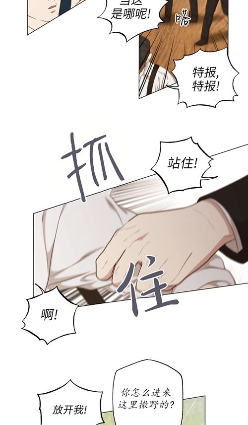 《大卫的肖像》第39话 第56页