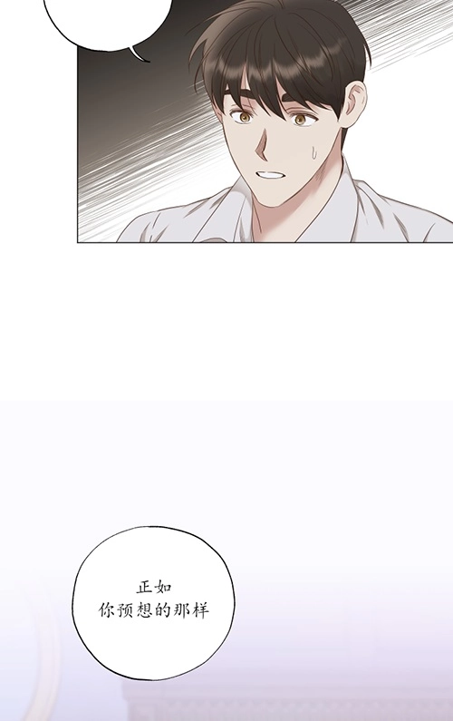《大卫的肖像》第41话 第40页