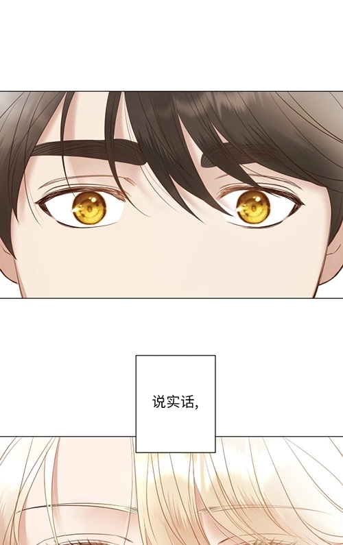 《大卫的肖像》第41话 第51页