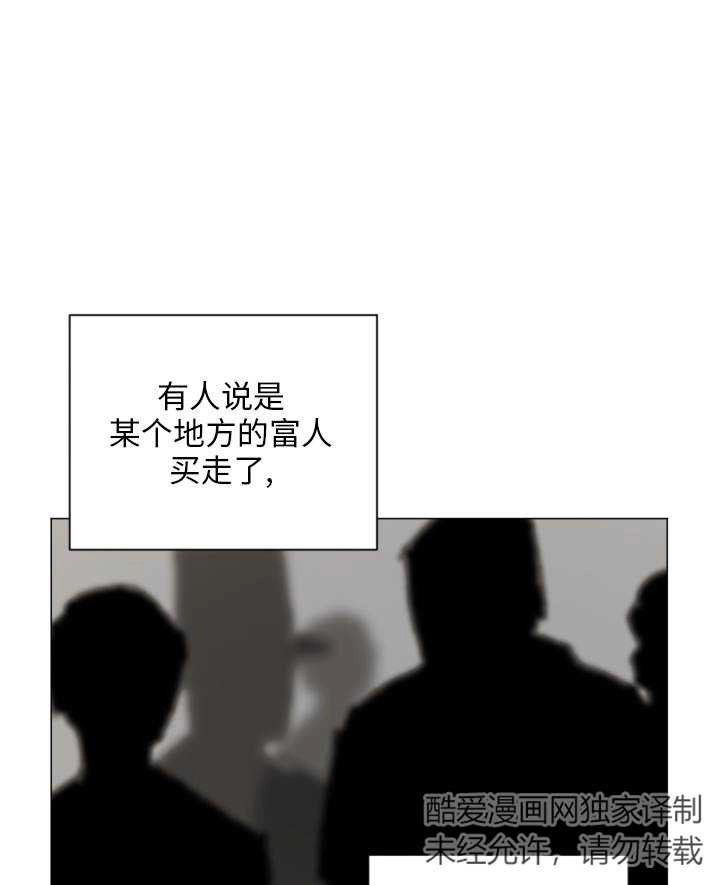 《大卫的肖像》第48话 第3页
