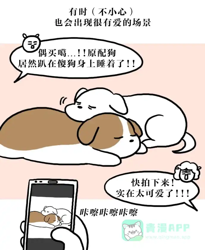《大学日记》[第113话] 和狗狗一起的生活（2） 第13页