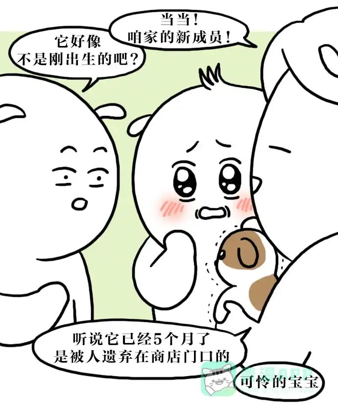 《大学日记》[第113话] 和狗狗一起的生活（2） 第3页