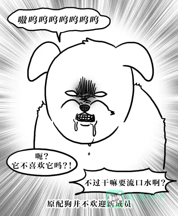 《大学日记》[第113话] 和狗狗一起的生活（2） 第5页