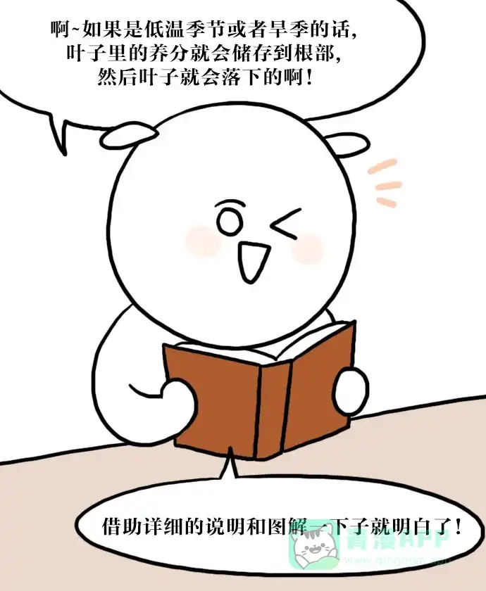 《大学日记》[第41话] 背书 第3页