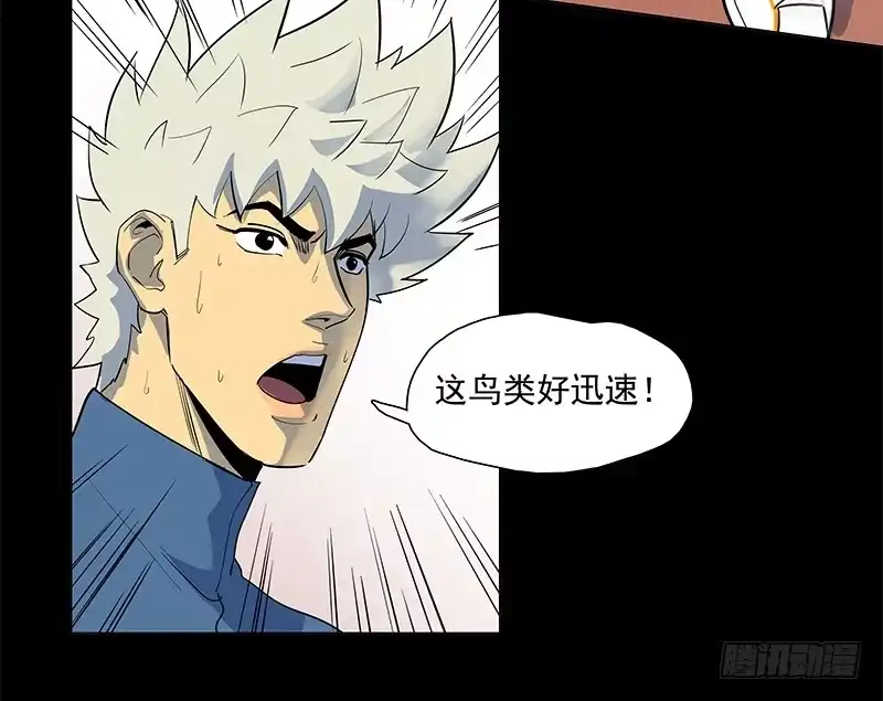 《大赢家》从头开始 第52页