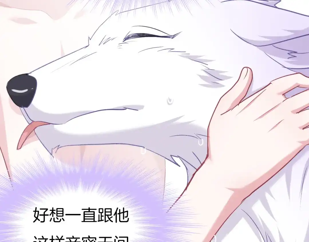 《殿下求你别作妖》第61话 狼的本性 第15页