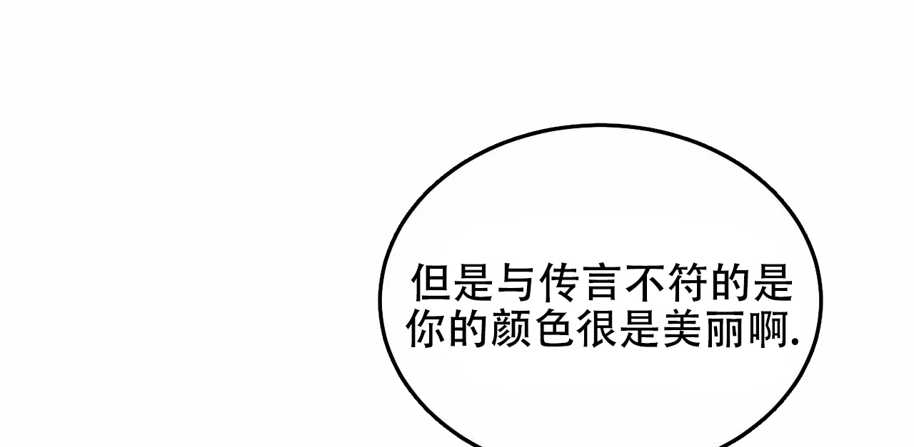 《调香师》第5话 第5页