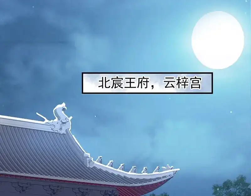 《帝宫东凰飞》第9话 花痴王妃 第5页