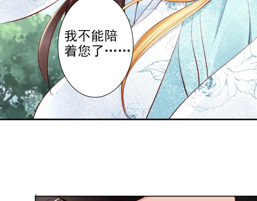 《帝宫东凰飞》第65话 王爷保重 第41页
