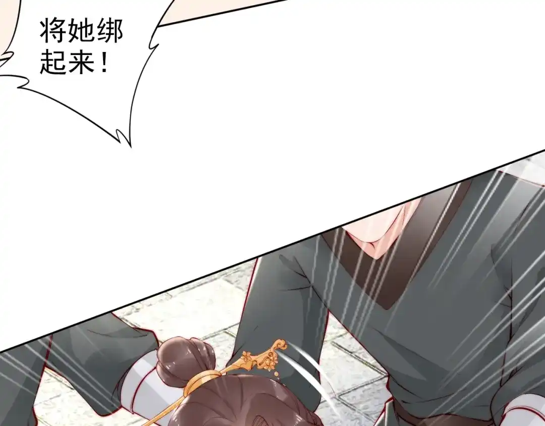 《帝宫东凰飞》第69话 初见幕后之人 第34页
