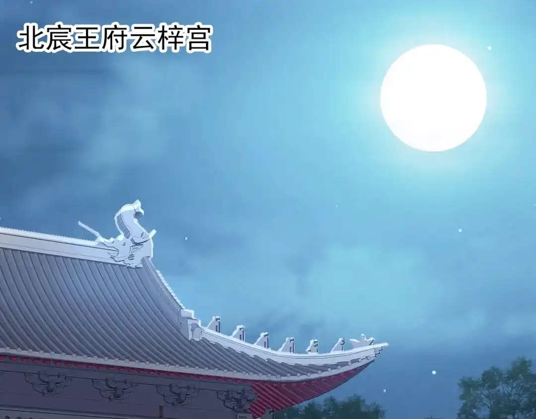 《帝宫东凰飞》第69话 初见幕后之人 第5页