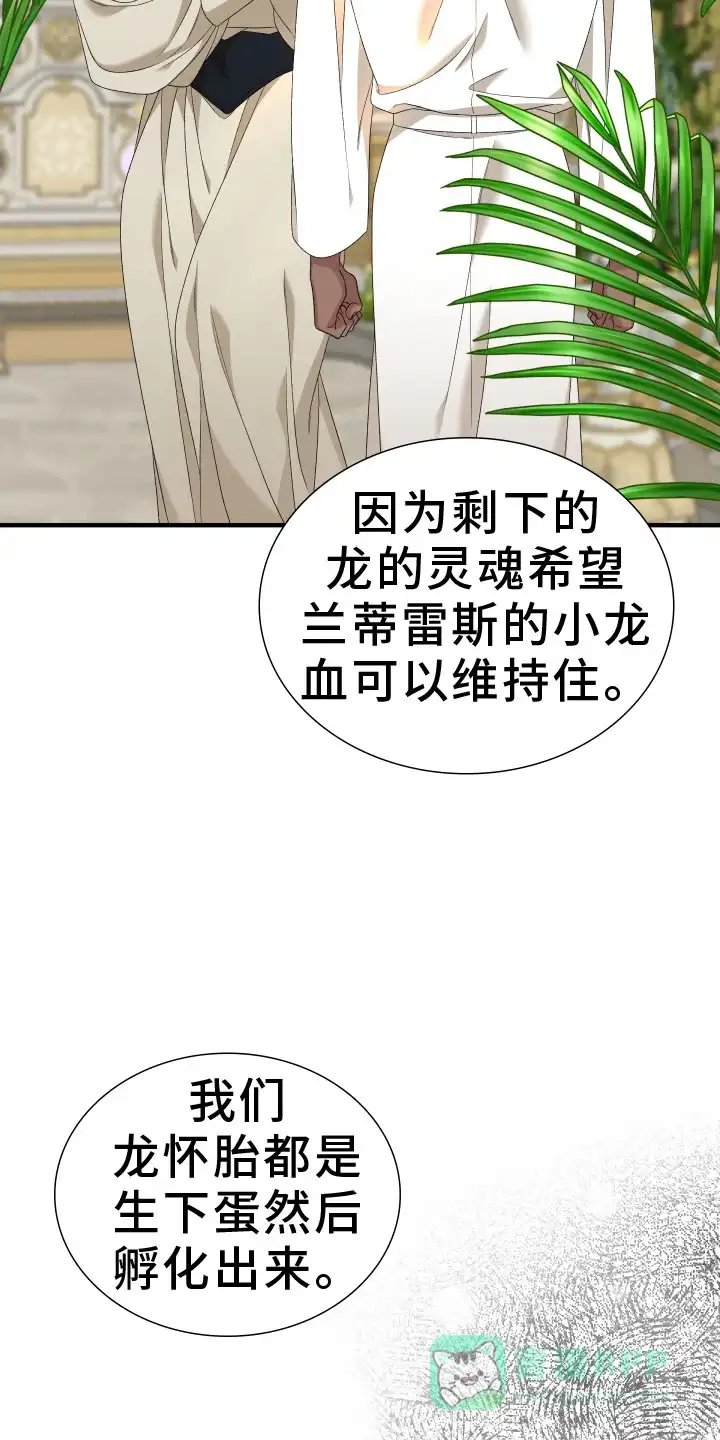 《帝国血脉》第102话 第11页