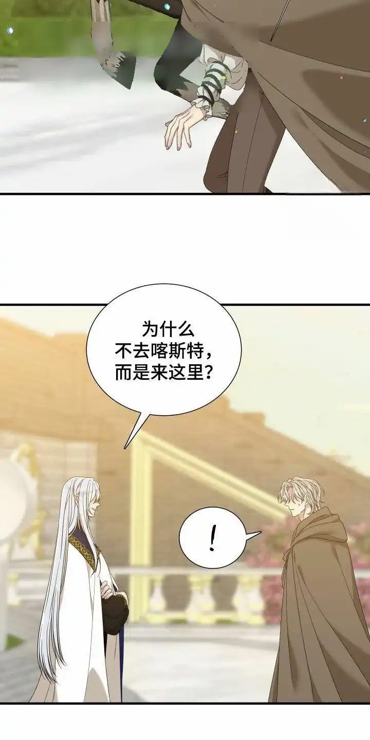 《帝国血脉》第119话 第5页