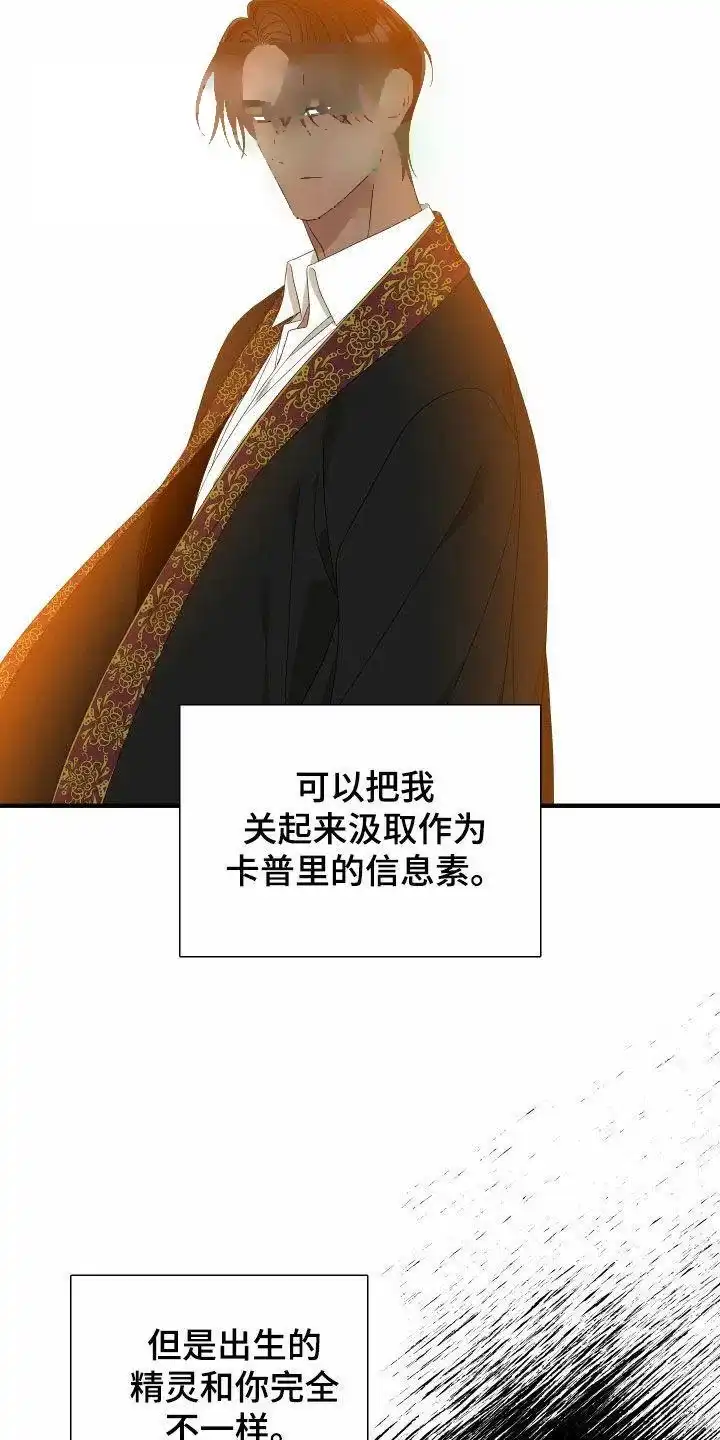 《帝国血脉》第121话 第13页
