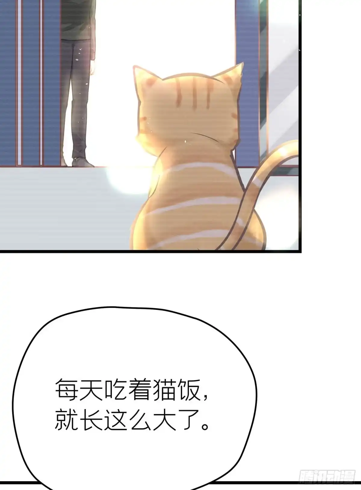 《第七天的深夜餐厅》第二十八回 流浪儿（十二） 第13页