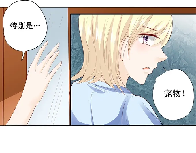 《帝少别太猛》第197话 没事找事 第14页