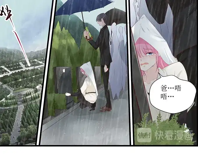 《帝少别太猛》第254话 葬礼 第14页