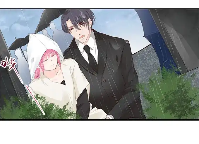 《帝少别太猛》第254话 葬礼 第18页