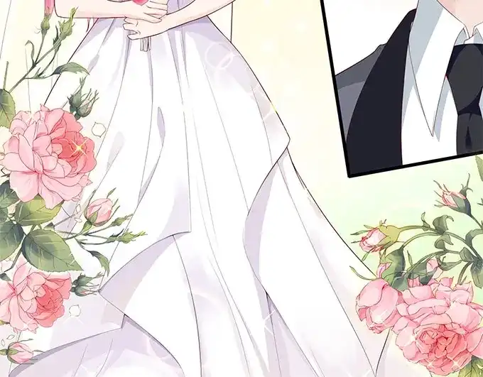 《帝少别太猛》第270话 试婚纱 第29页