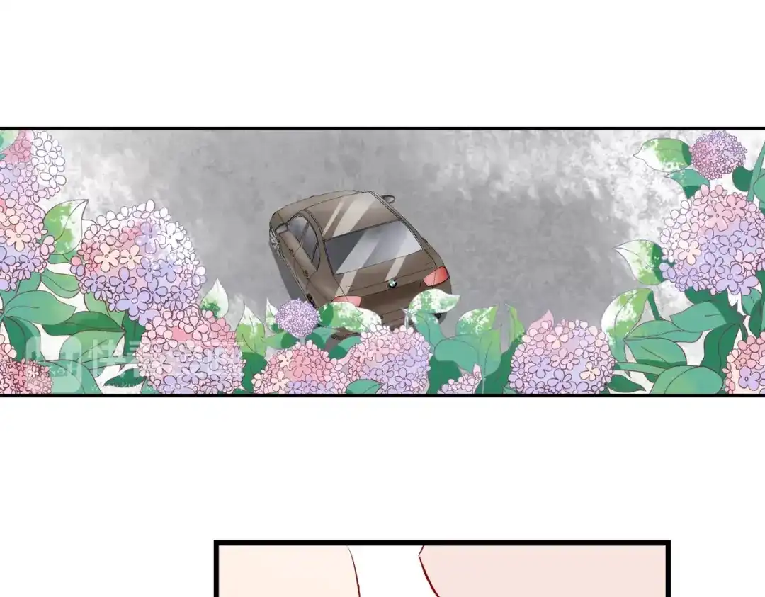 《帝少别太猛》第81话 KISS 第11页