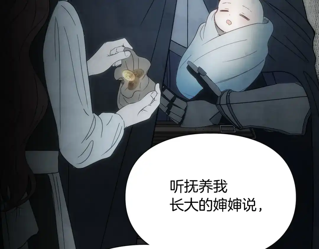 冬城的囚犯小公主 第81话 喜欢谁？ 第100页