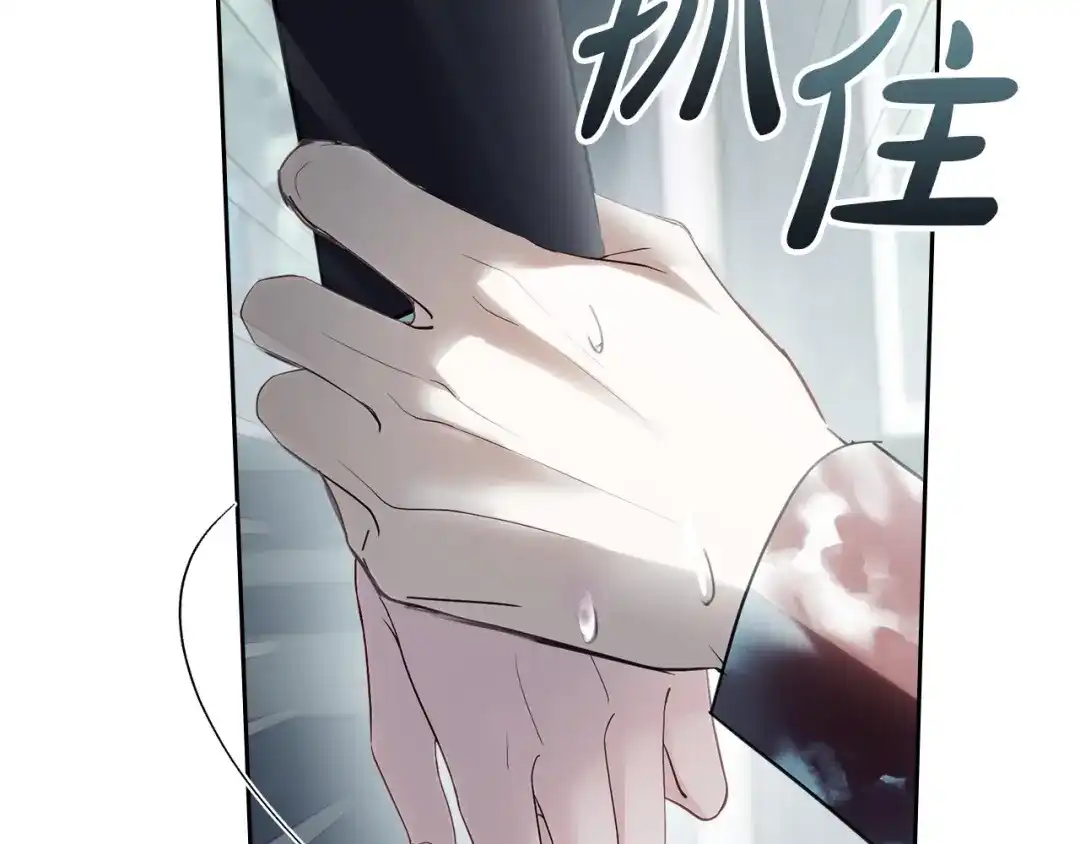 冬城的囚犯小公主 第83话 保护好她 第11页