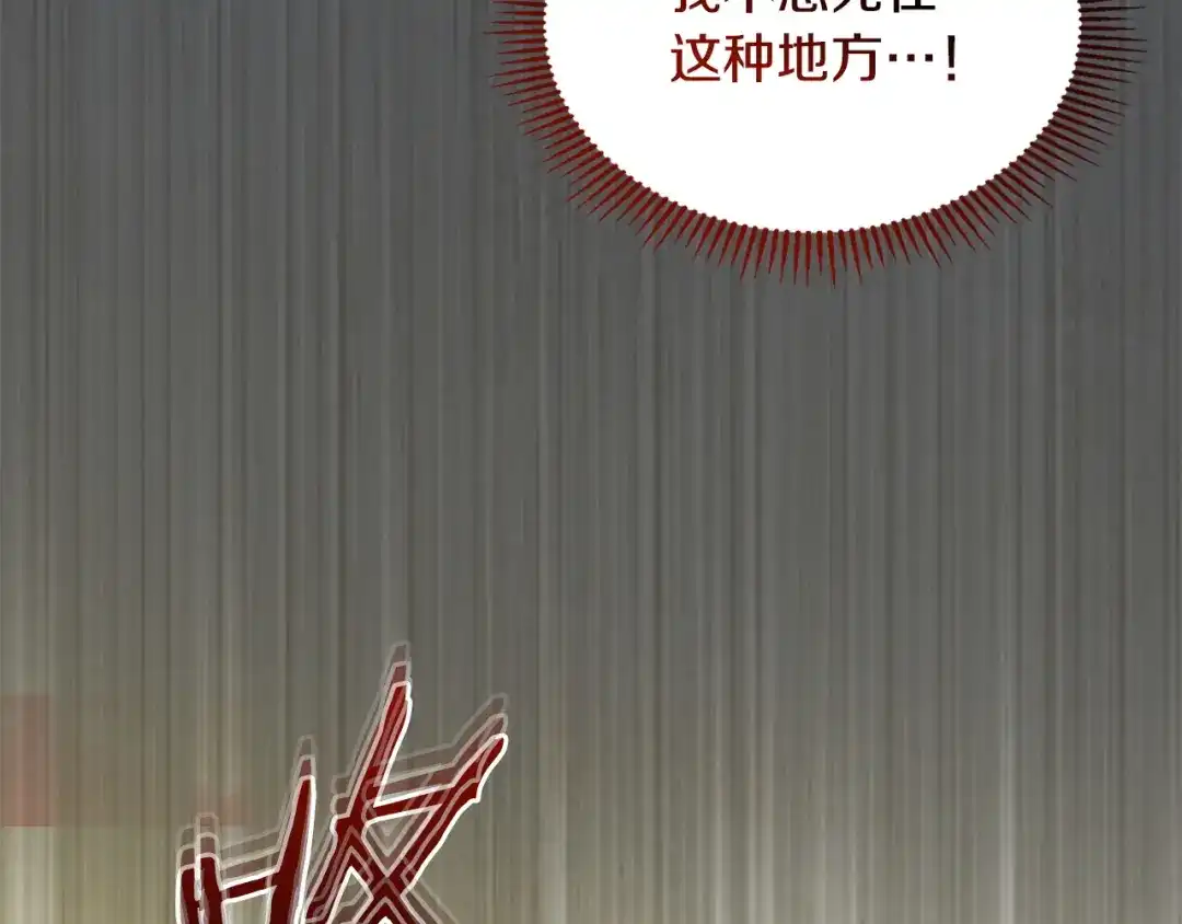 冬城的囚犯小公主 第88话 救救我 第216页